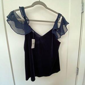 Lush Blue Velvet Top With Flowy Straps